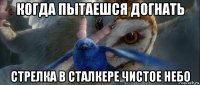 когда пытаешся догнать стрелка в сталкере чистое небо