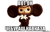 вот он чебураш кавказа
