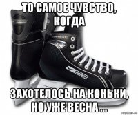 то самое чувство, когда захотелось на коньки, но уже весна ...