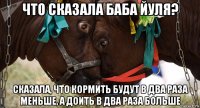 что сказала баба йуля? сказала, что кормить будут в два раза меньше, а доить в два раза больше