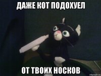 даже кот подохуел от твоих носков