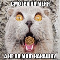 смотри на меня а не на мою какашку