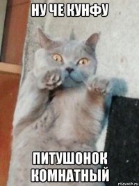 ну че кунфу питушонок комнатный