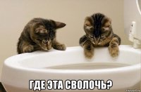  где эта сволочь?