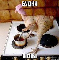 будни жены