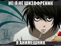 не, я не шизофреник я анимешник