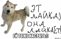  ей тоже насрать!)