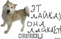  и ты тоже_)