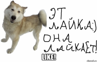  like!