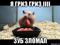 я гриз гриз іііі зуб зломал