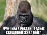  мужчина в россии - редкое священное животное?
