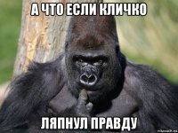 а что если кличко ляпнул правду