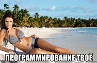  программирование твоё