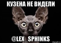 кузена не видели @lex_sphinks