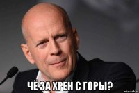  чё за хрен с горы?