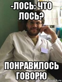-лось: что лось? понравилось говорю