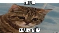 ты чо ебанутый?