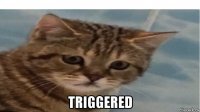  triggered