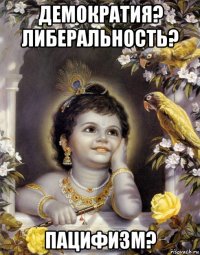 демократия? либеральность? пацифизм?