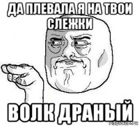 да плевала я на твои слежки волк драный