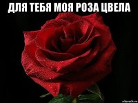 для тебя моя роза цвела 