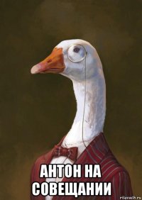  антон на совещании