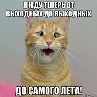 я жду теперь от выходных до выходных до самого лета!