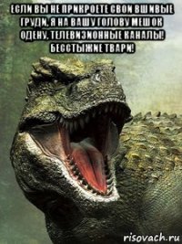 если вы не прикроете свои вшивые груди, я на вашу голову мешок одену, телевизионные каналы! бесстыжие твари! 