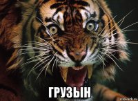  грузын