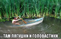  там лягушки и головастики