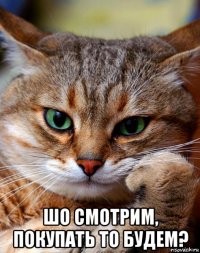  шо смотрим, покупать то будем?
