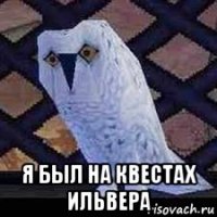  я был на квестах ильвера
