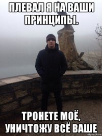 плевал я на ваши принципы. тронете моё, уничтожу всё ваше
