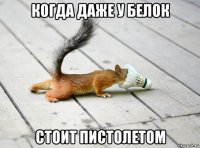 когда даже у белок стоит пистолетом