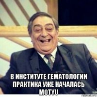  в институте гематологии практика уже началась motyu