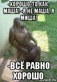 -хорошо-то как, маша! -я не маша, я миша! -всё равно хорошо
