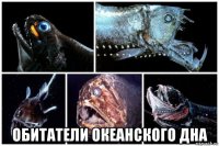  обитатели океанского дна