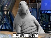  жду вопросы