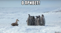 о привет! 
