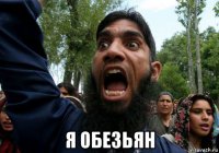  я обезьян