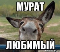 мурат любимый