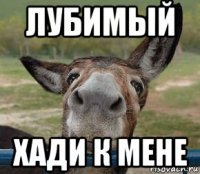 лубимый хади к мене