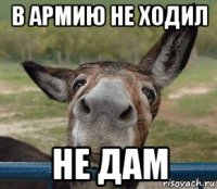 в армию не ходил не дам