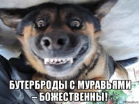  бутерброды с муравьями – божественны!
