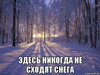  здесь никогда не сходят снега