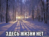  здесь жизни нет