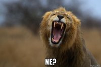  ne?