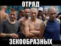 отряд зекообразных