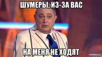 шумеры, из-за вас на меня не ходят