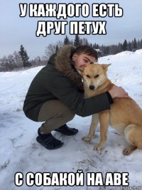 у каждого есть друг петух с собакой на аве